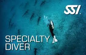 SSI Speciality Diver