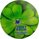 Tülay B. profile picture
